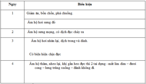 KỸ THUẬT PHỐI GIỐNG