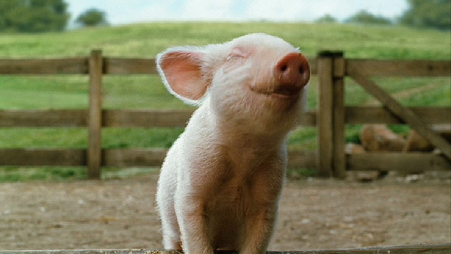 di-truyen-la-chia-khoa-de-tiet-kiem-lao-dong-cau-chuyen-thanh-cong-tu-khach-hang-cua-hypor