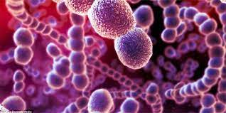 virus-nong-nghiep-gia-tot