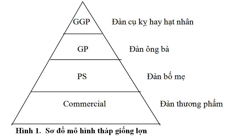 mo-hinh-thap-giong-lon-thong-thuong-nong-nghiep-gia-tot