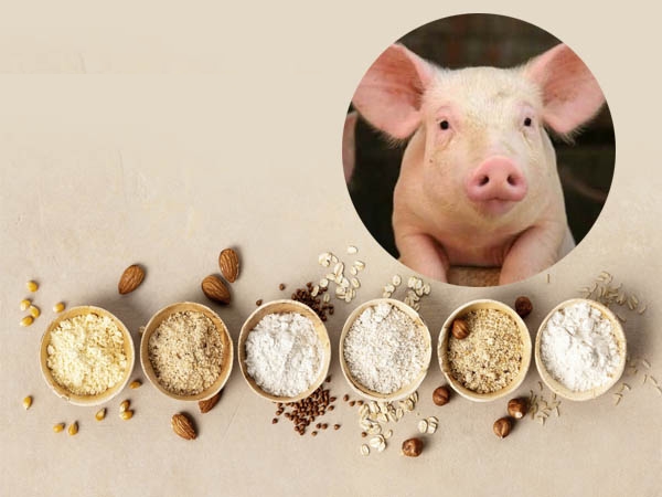 giai-doan-truong-thanh-nong-nghiep-gia-tot