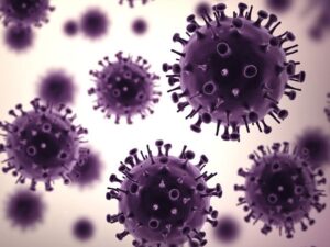 virus-dich-ta-lon-chau-phi-nong-nghiep-gia-tot