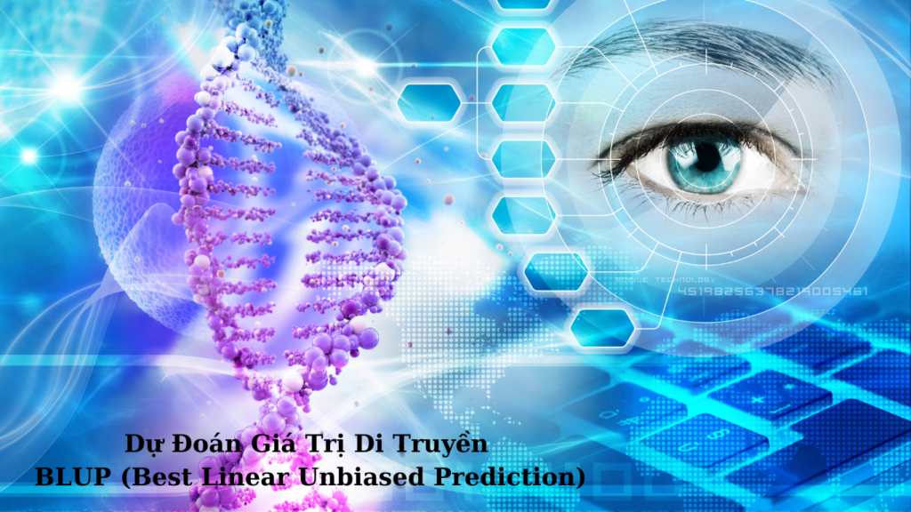 Du_doan_gia_tri_di_truyen_BLUP