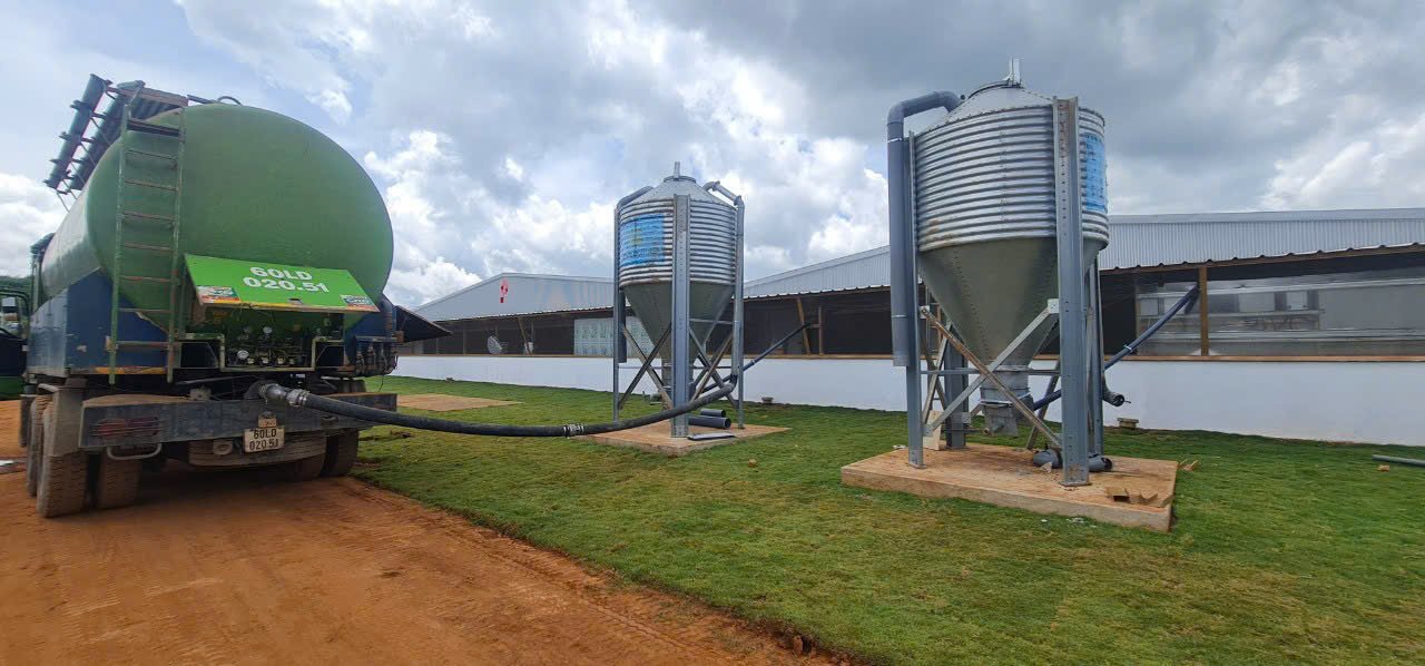 Vận chuyển cám và vật tư chăn nuôi tới trang trại heo giống