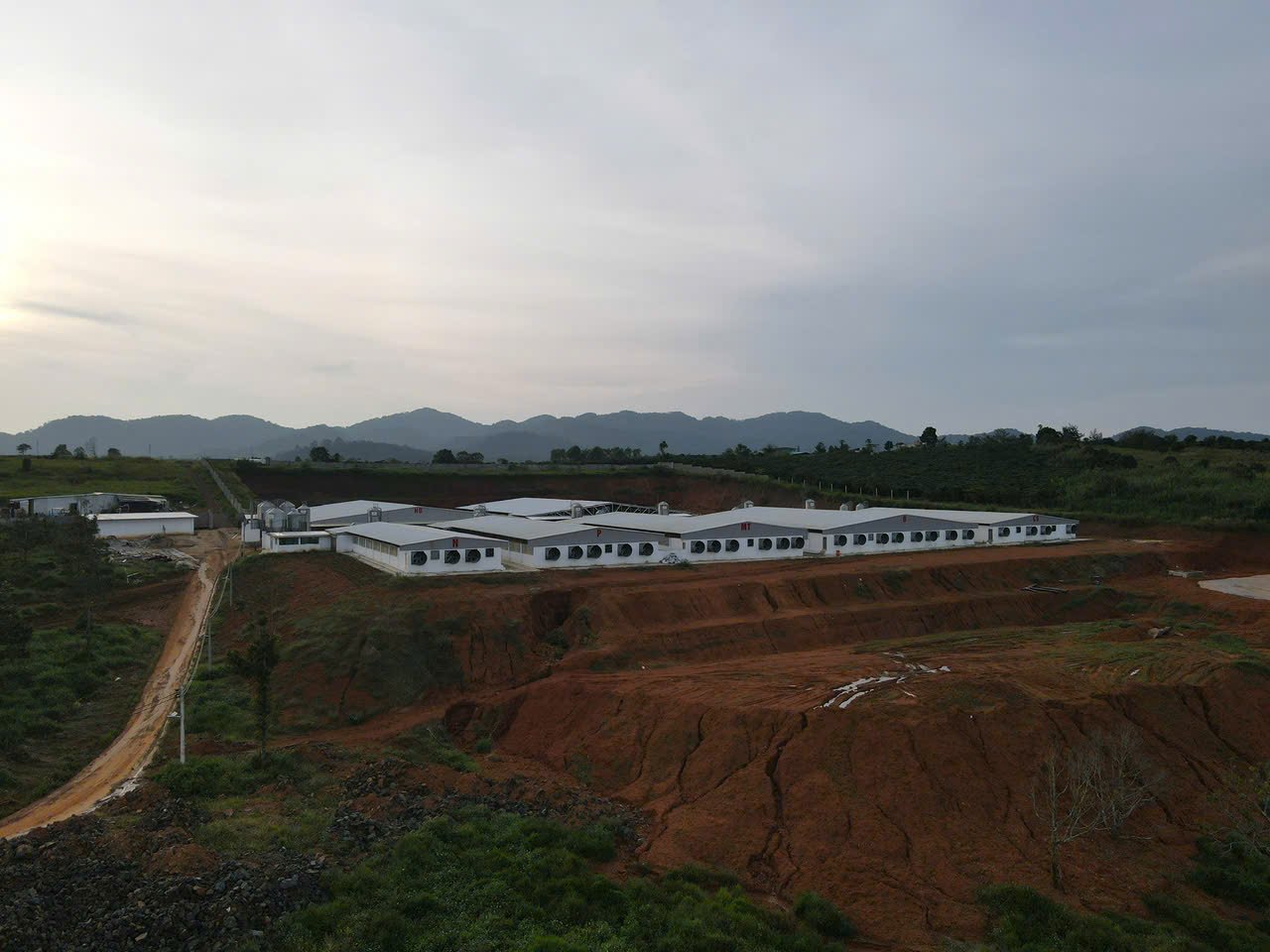 Trang trại chăn nuôi heo giống đạt chuẩn nhìn từ trên cao