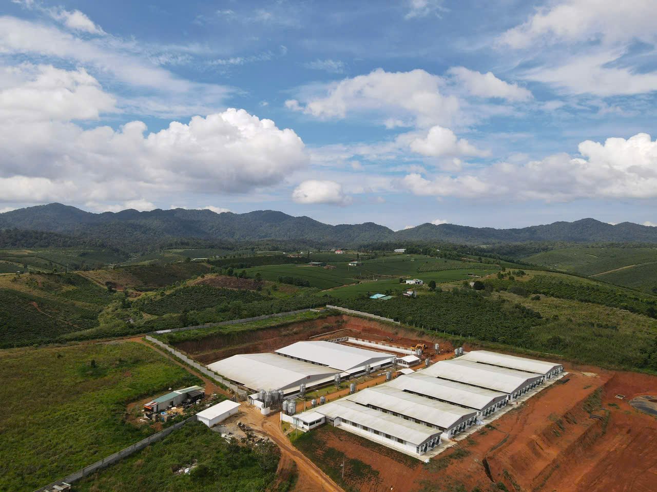 Trang trại heo giống Nông Nghiệp Giá Tốt nhìn từ trên cao
